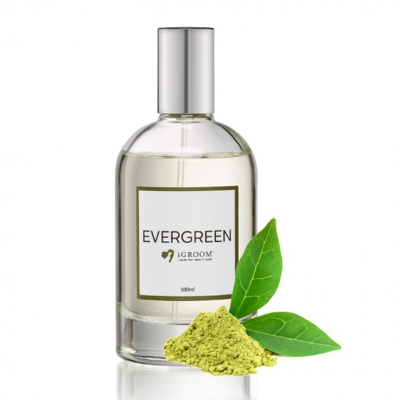 iGROOM Evergreen Perfume